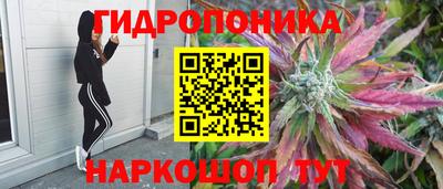 наркотики Свободный