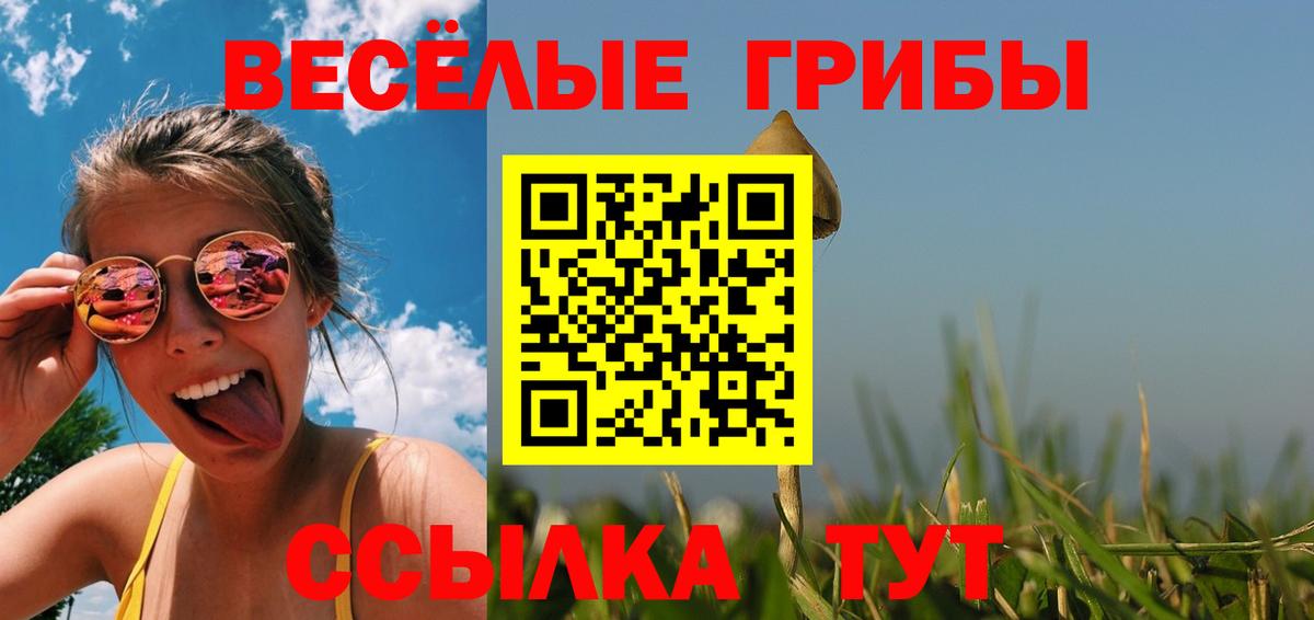 Псков  Псилоцибиновые грибы мицелий  как найти   Вход с VPN 