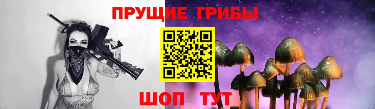 Галлюциногенные грибы Psilocybe Псков